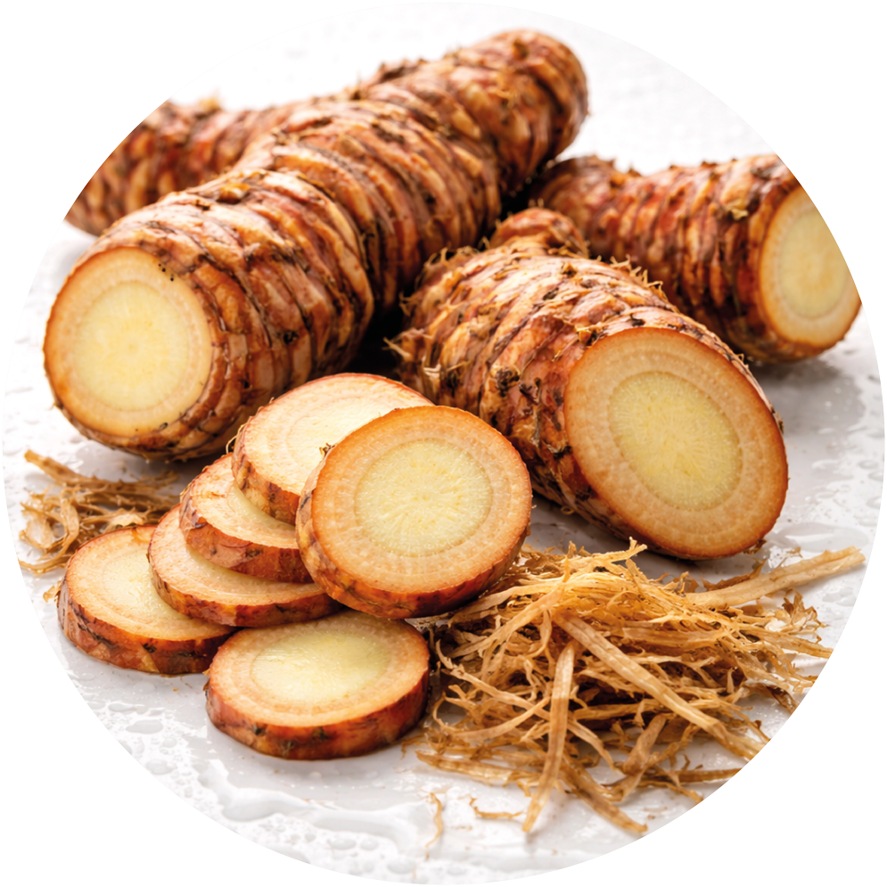 Rhabarberwurzelextrakt